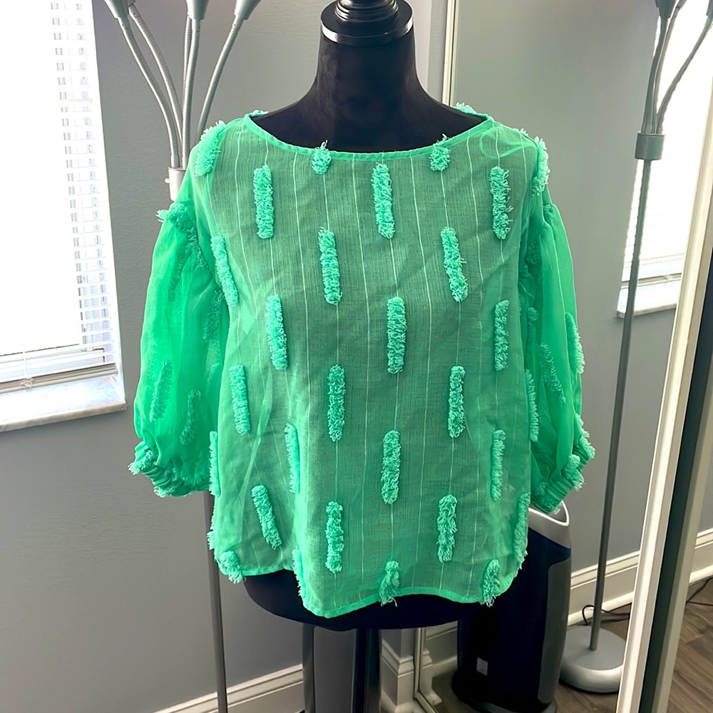 Green Sheer Zara Top
